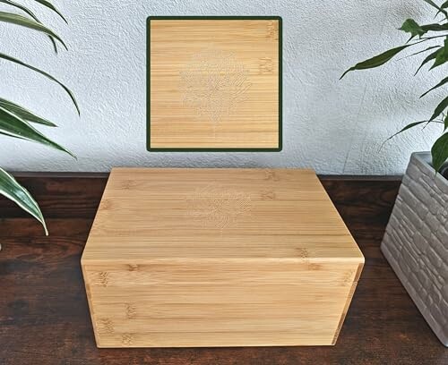 LIEFY Caja de almacenamiento de madera