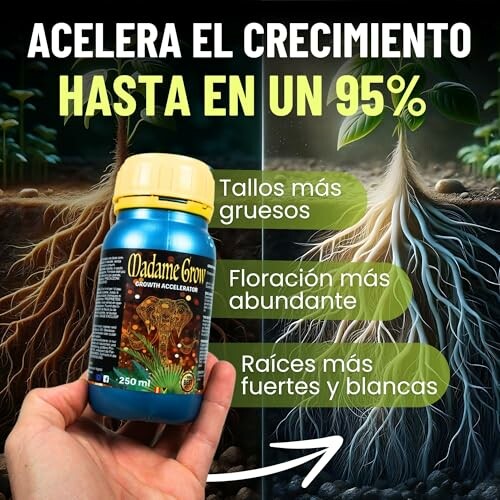 Acelerador de Crecimiento Plantas 420